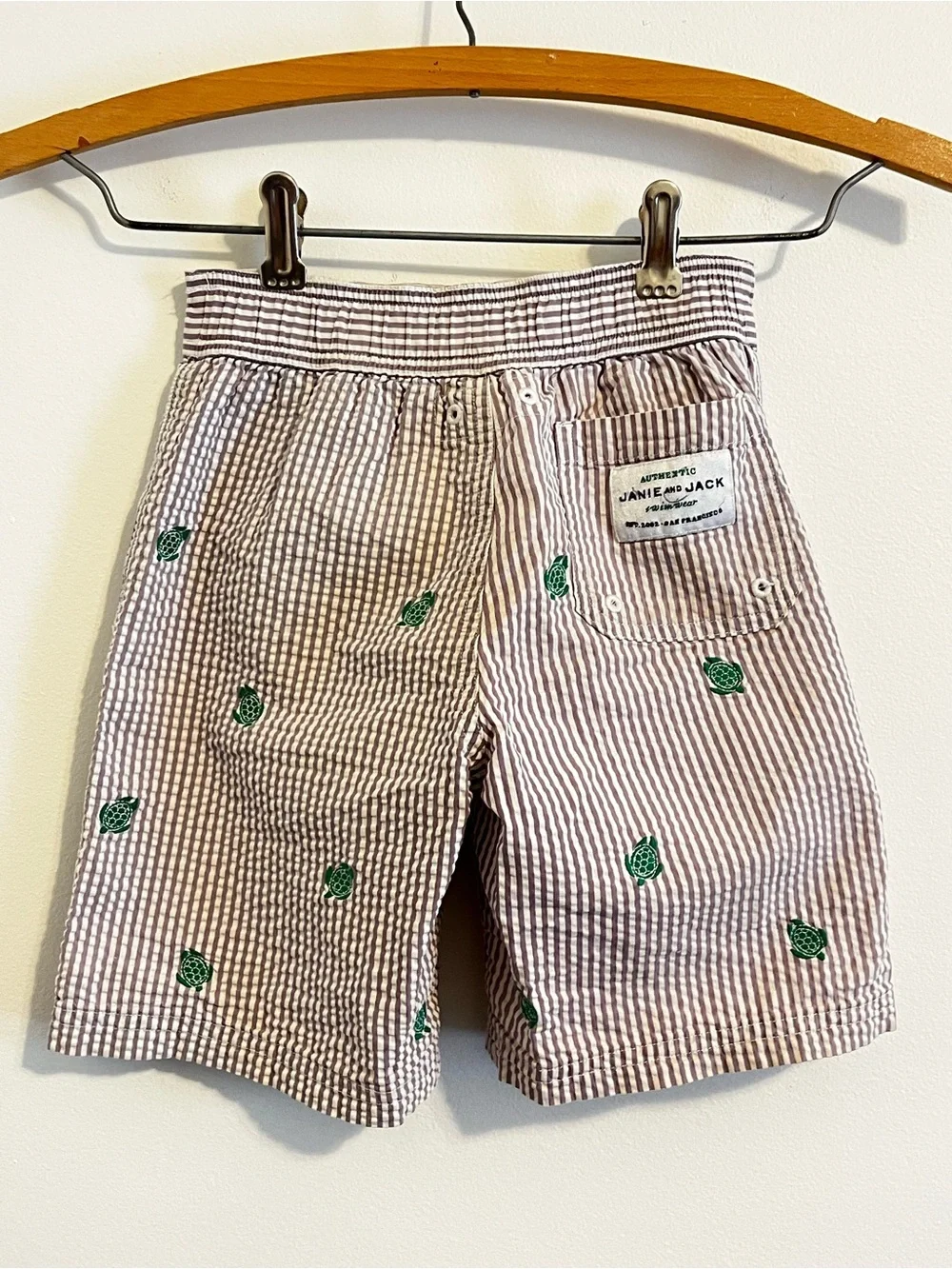 Janie and Jack Seersucker Turtle Bathing Suit Embroidered Swim Trunks Lined Boys